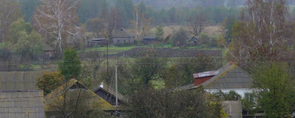 
            Фотография Мацково