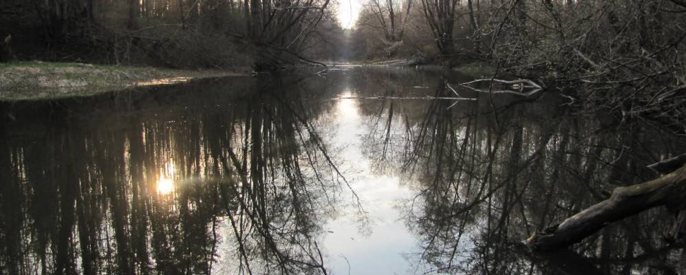 
            Фотография Поселка Цех Номер Два