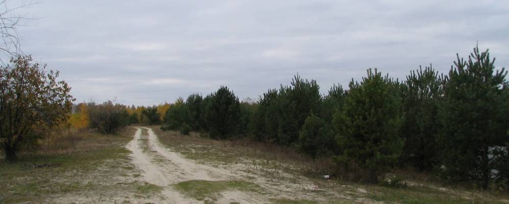 
            Фотография Вишнёвого