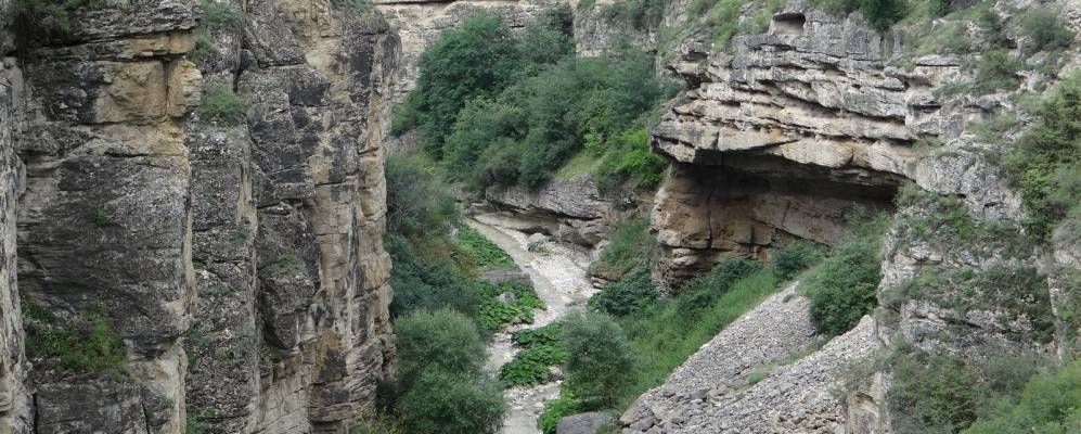 
            Фотография Дамкулакады