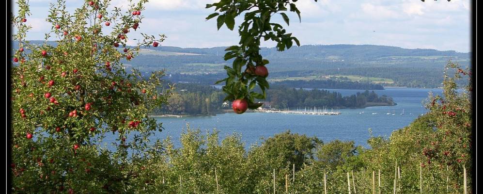 
            Фотография Штекборна