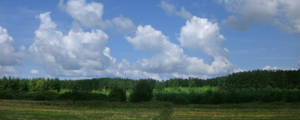 Фотография Высокой Гривы