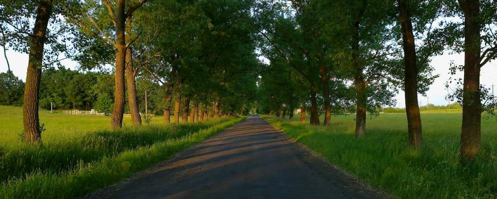 
            Фотография Зняцево