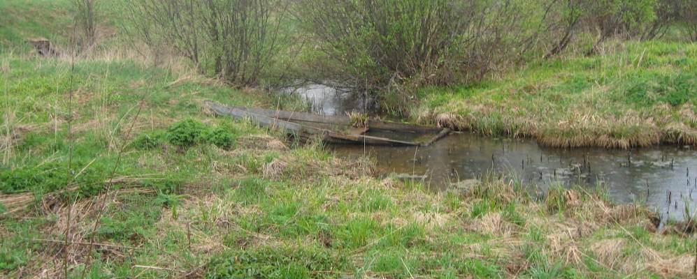 
            Фотография Ждани