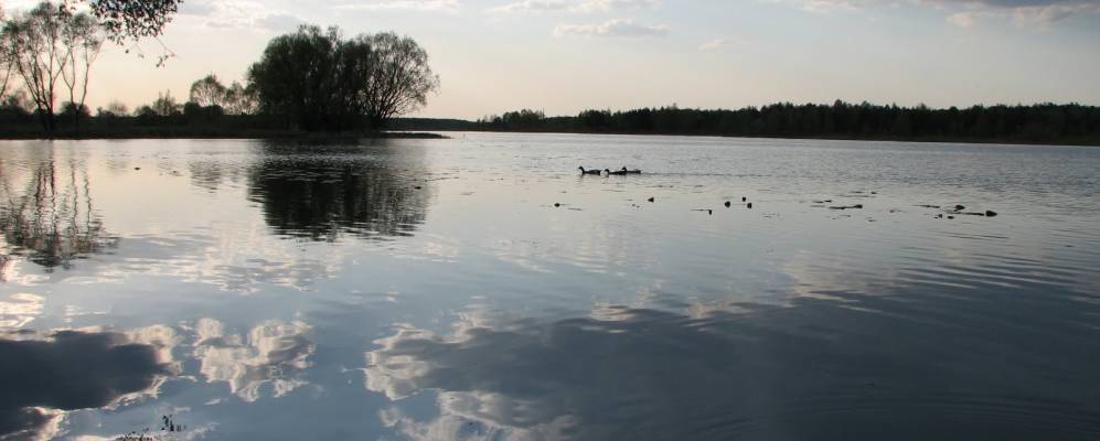 
            Фотография Рудни-Жеревцы