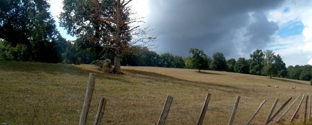 
            Фотография Верга