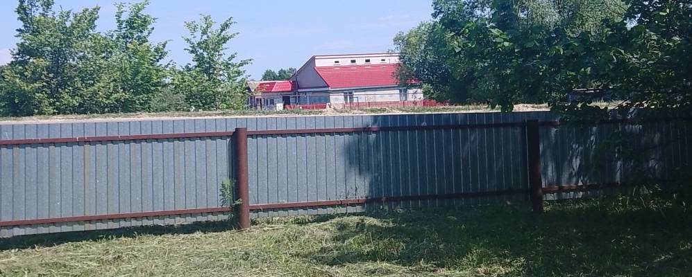 
            Фотография Вьюнков