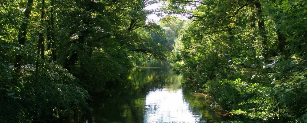 
            Фотография Винхаузена