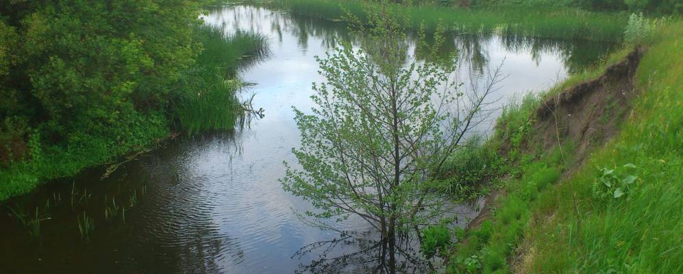 Фотография Беломестной