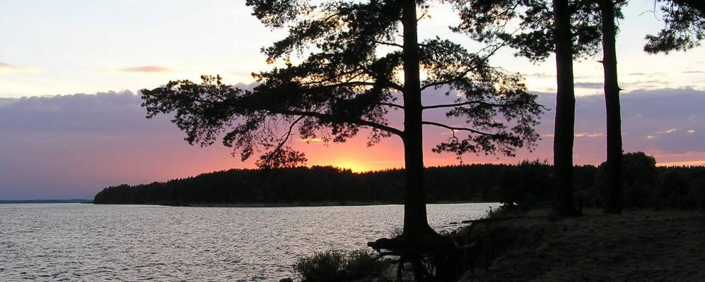 
            Фотография Мухино