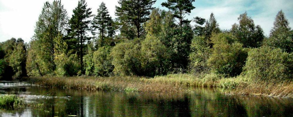 
            Фотография Лиди