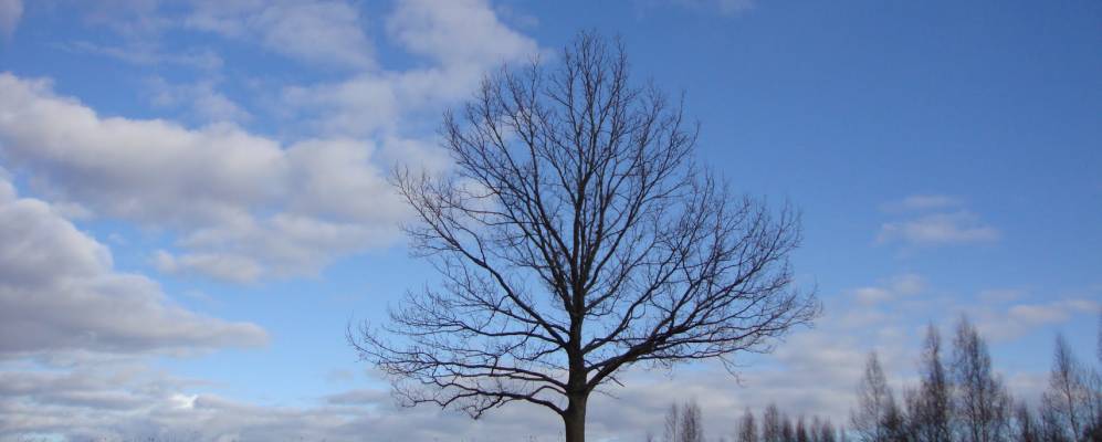 
            Фотография Клезино