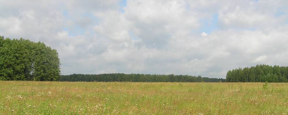 
            Фотография Орехово