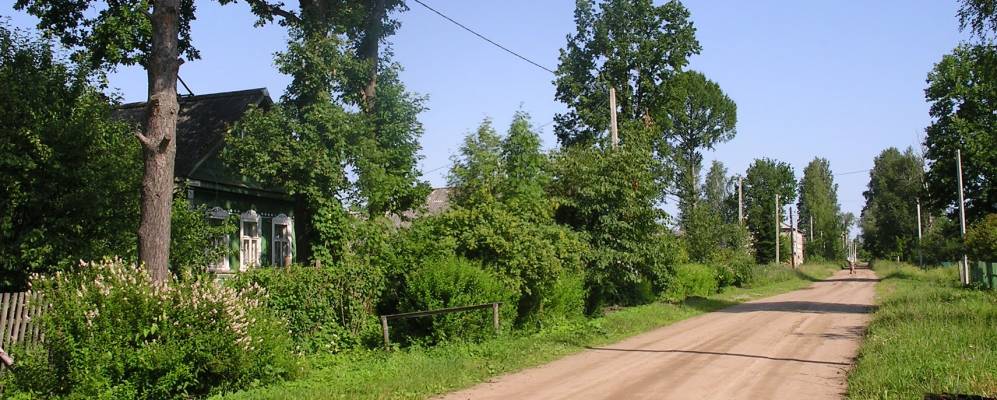 деревня пола новгородская область. поселок пола парфинский район. боровенка окуловский район. пруд в мокино пермский край. поселок пола фото.