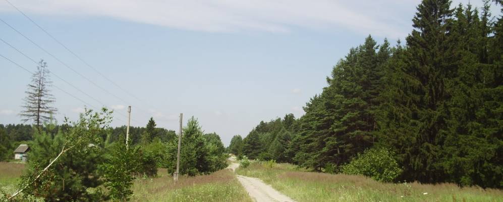 
            Фотография Малой Жукова