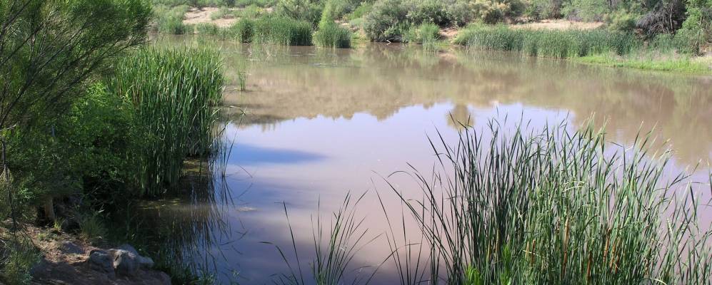 
            Фотография Корнвилла