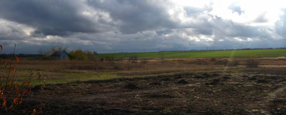 
            Фотография Пустовойтово