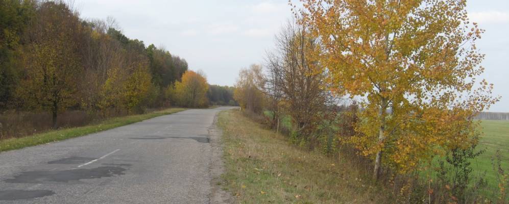 Фотография Павленки