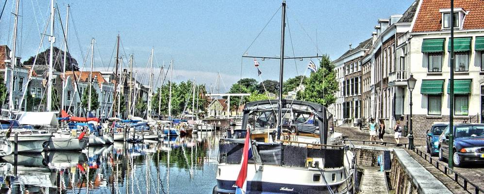 
            Фотография Гоеса