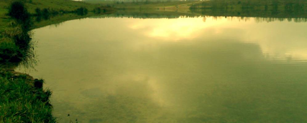 Фотография Хмелевки