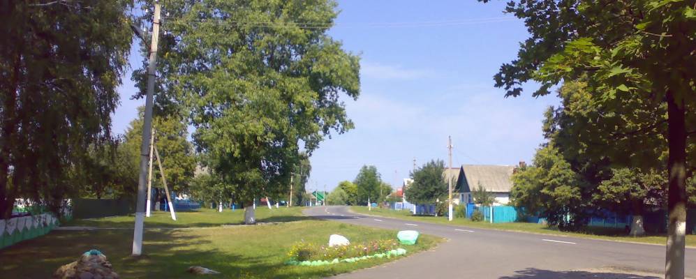 
            Фотография поселка Леваши