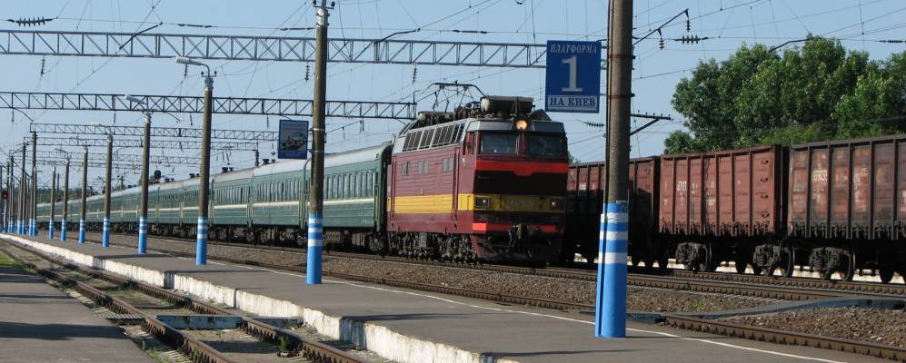 
            Фотография Синезёрков