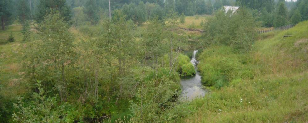 
            Фотография Вандыша