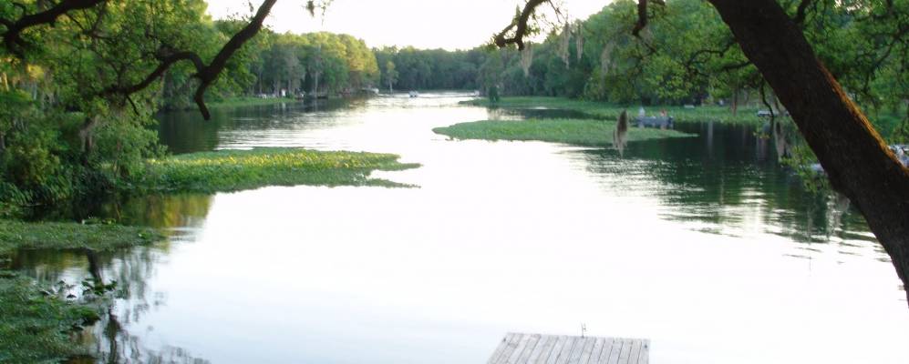 
            Фотография Даннеллона