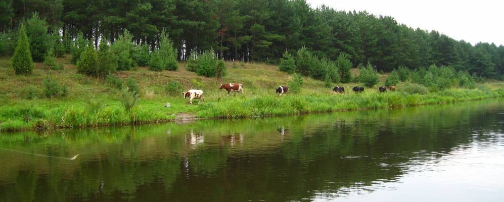 Фотография Красной