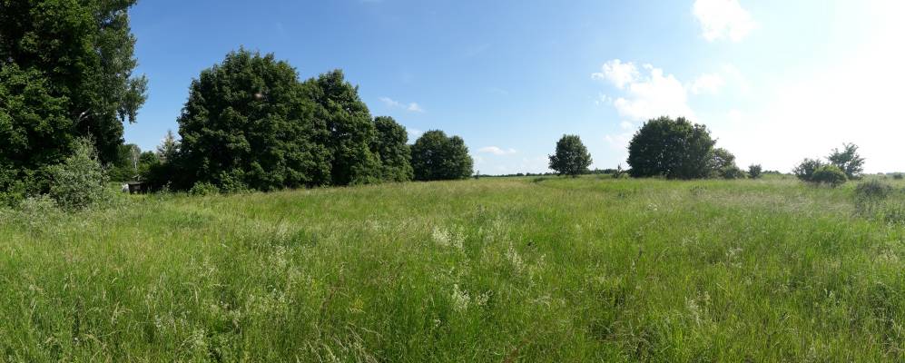 Фотография Нижнеольховатого