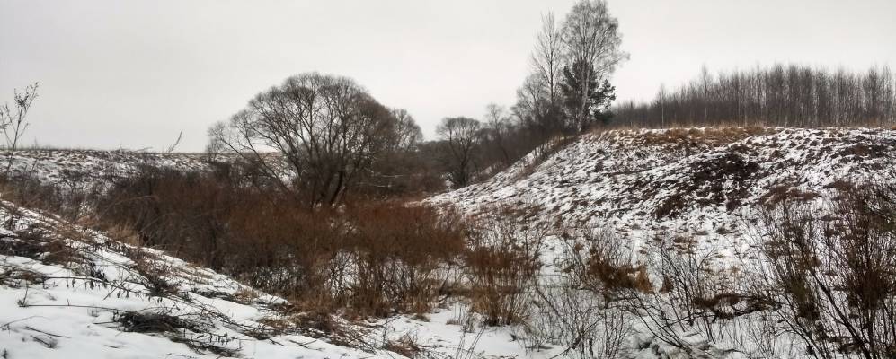 
            Фотография Вятши