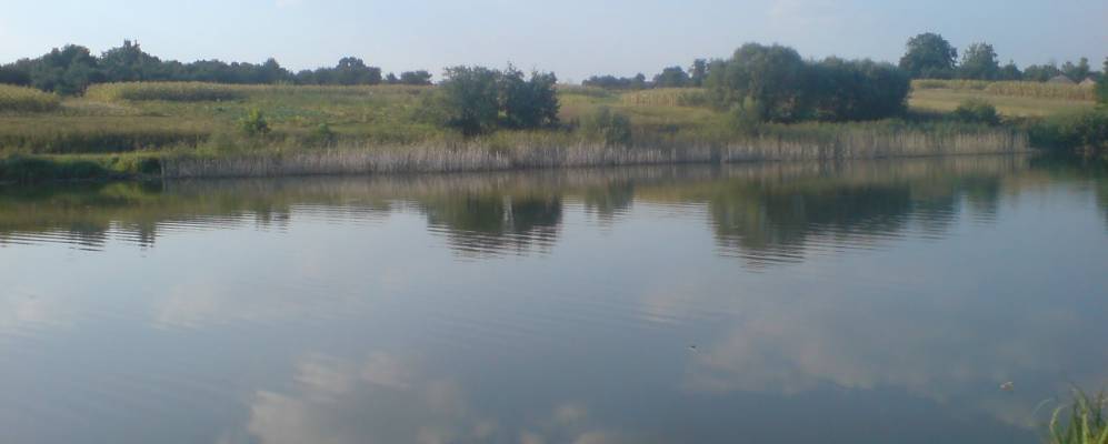 
            Фотография Россохи