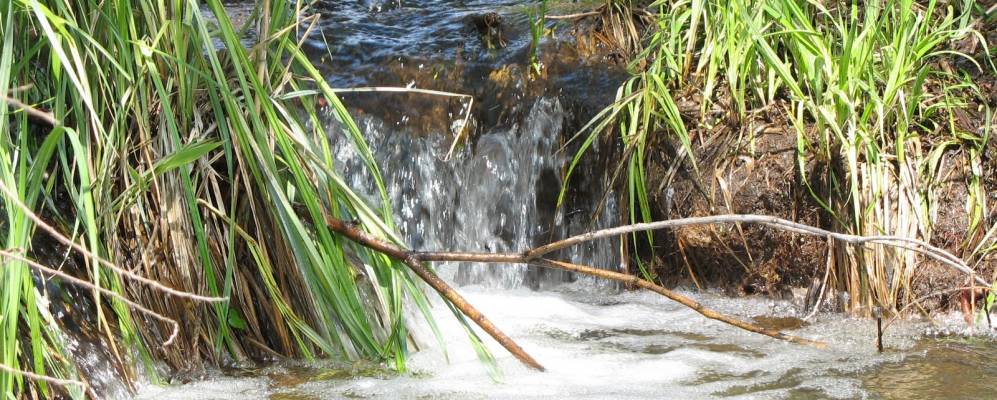 
            Фотография Верного Пути