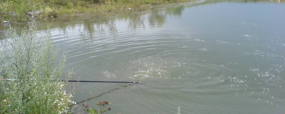 
            Фотография Карагайлинского