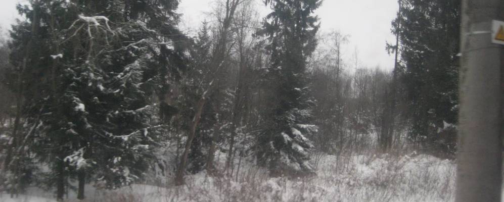 Фотография Беля