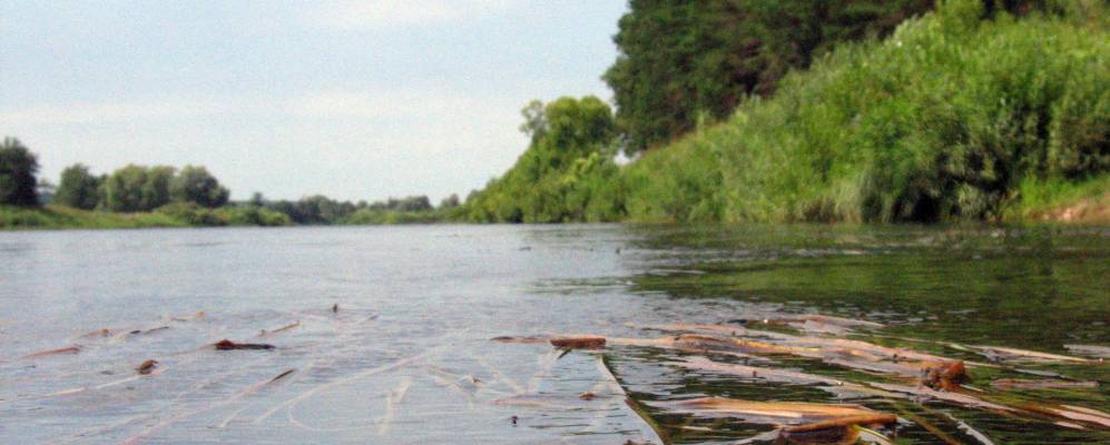 
            Фотография Ступино