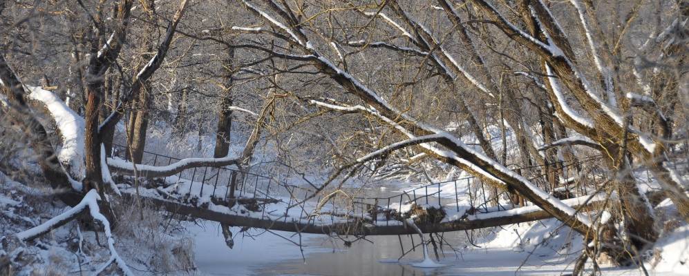 Фотография Заборовки