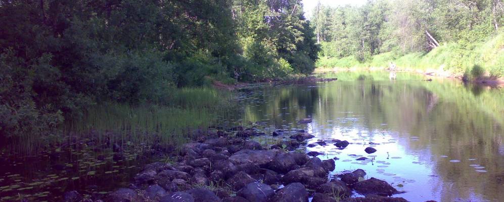 
            Фотография Горки