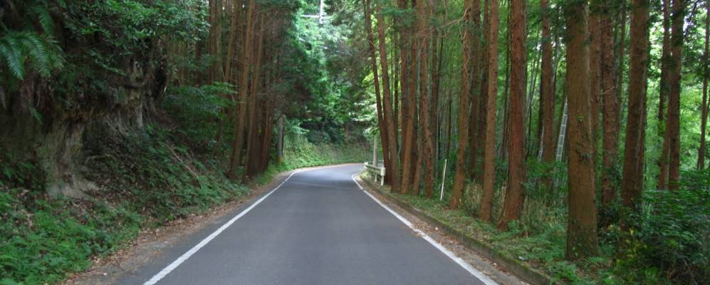 
            Фотография Окачи