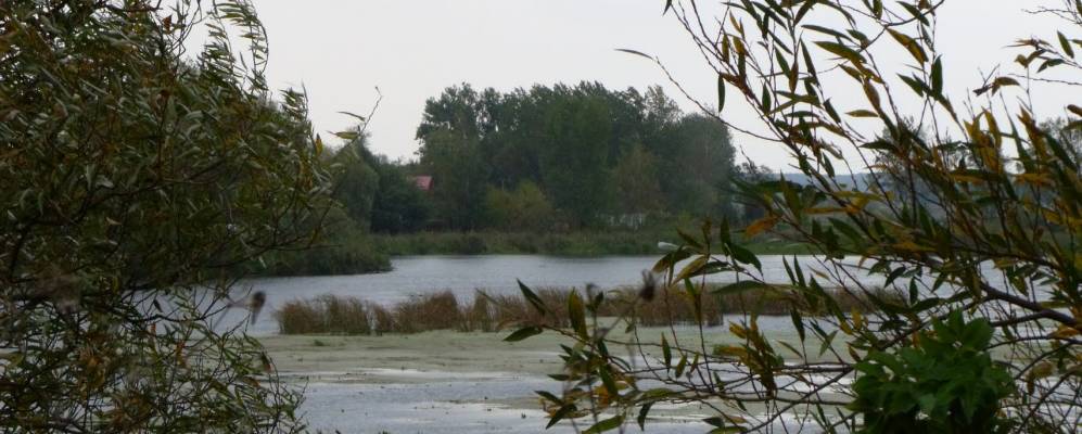 
            Фотография Аршичина