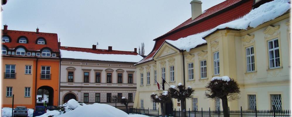 
            Фотография Храста