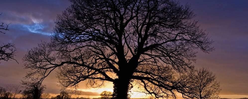 
            Фотография Арлингем