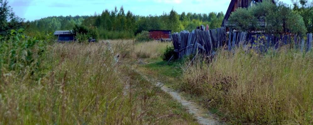 
            Фотография Молодежного