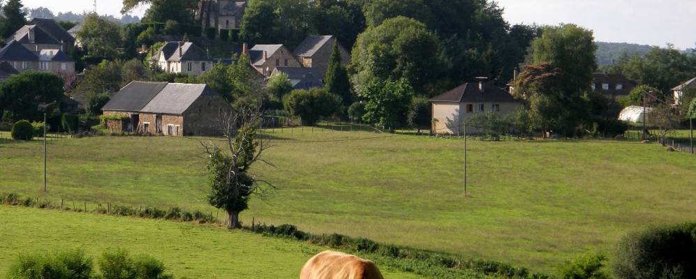 Фотография Садрок