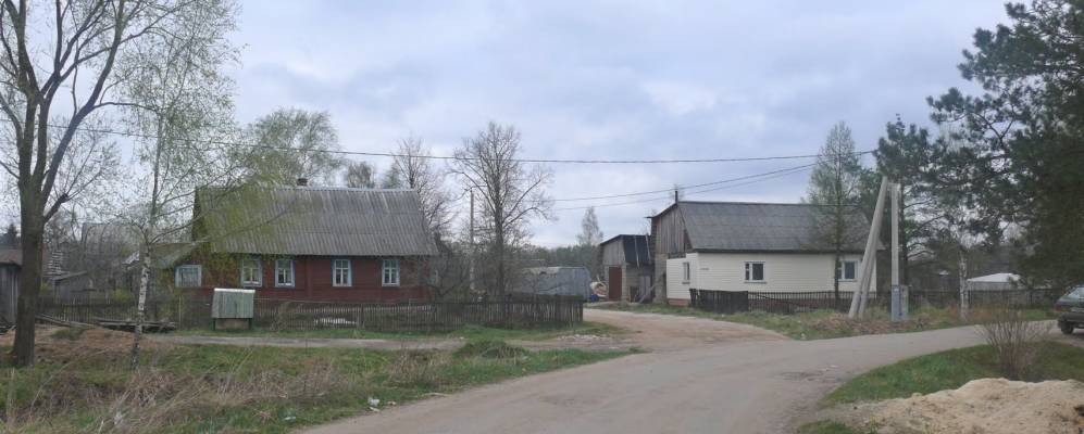 Фотография Шелково