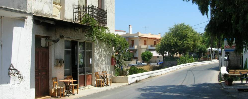 
            Фотография Принеса