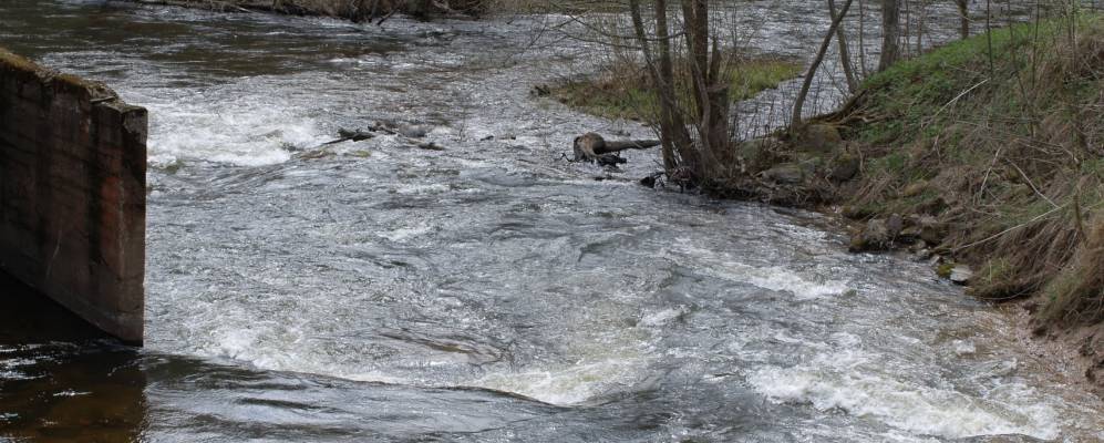 Фотография Быково