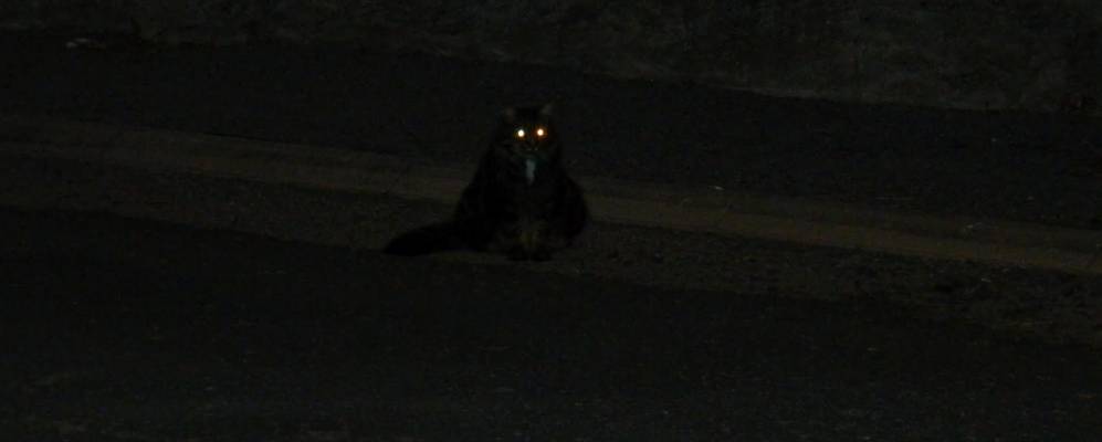 
            Фотография Манза