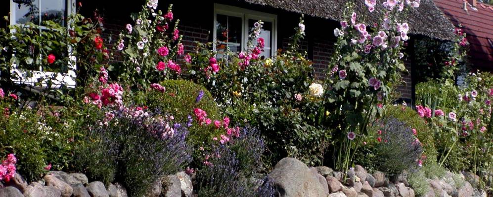 
            Фотография Лилиенталь