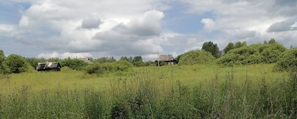 
            Фотография Нового